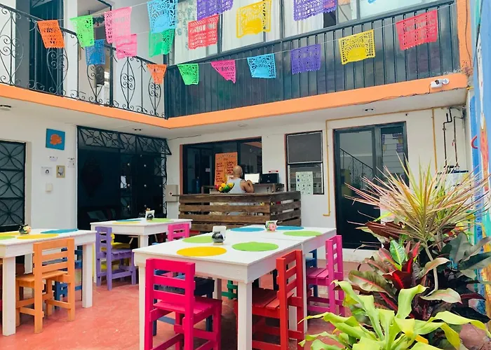 Hostel Frida Bed & Breakfast Oaxaca
